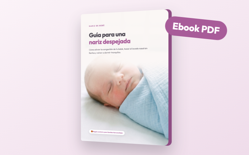 Ebook Guía para una nariz despejada